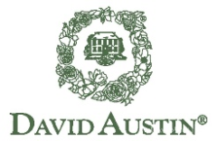 David Austin Roses