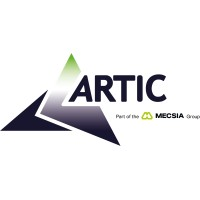 Artic Building Services Limited