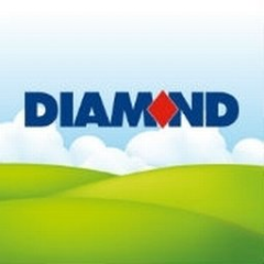 Diamond Bus