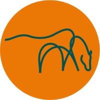 The Mare and Foal Sanctuary