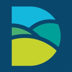 Dorset Councils
