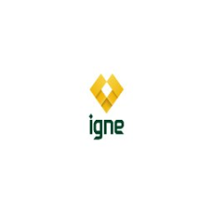 Igne Group Ltd