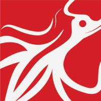 Redsquid