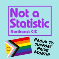 Not A Statistic NorthEast CIC
