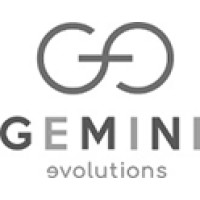 Gemini Evolutions Ltd